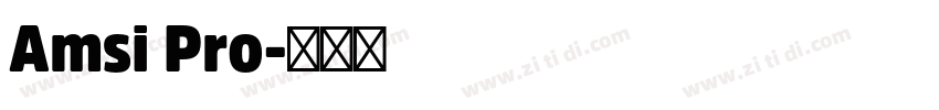 Amsi Pro字体转换